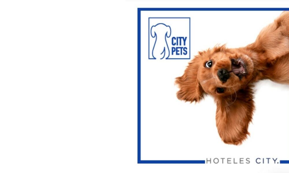 hoteles city mascotas perros
