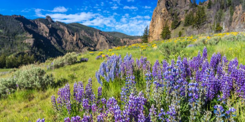 wyoming al aire libre