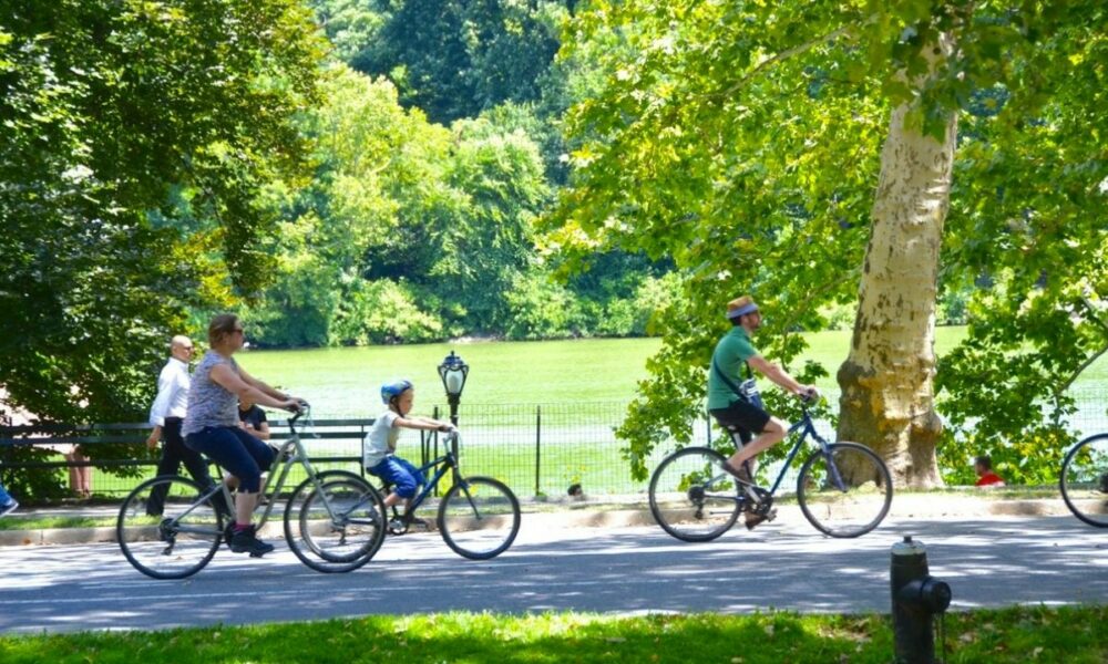 tour bicicleta central park
