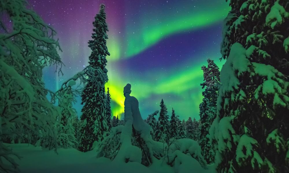 laponia finlandia dfw aeropuerto