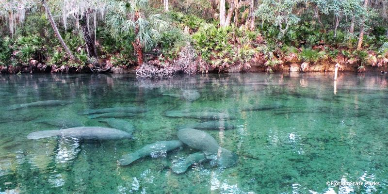 orlando naturaleza ecoturismo