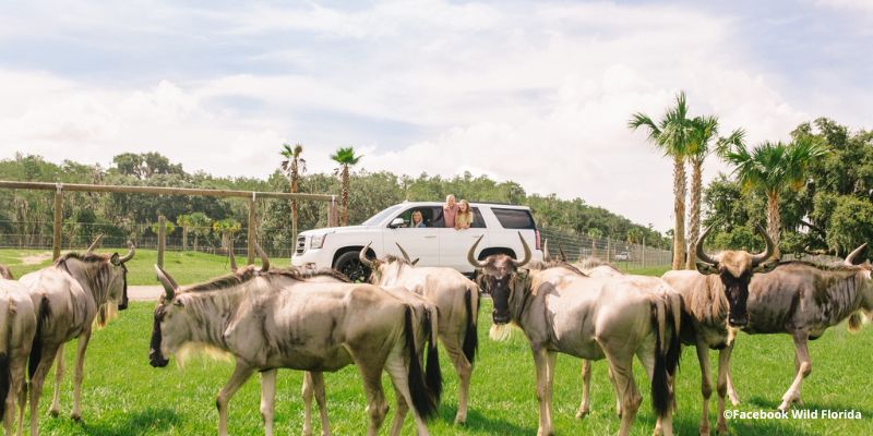 orlando naturaleza ecoturismo