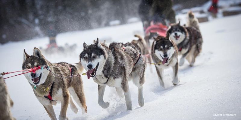 mont tremblant experiencias invierno