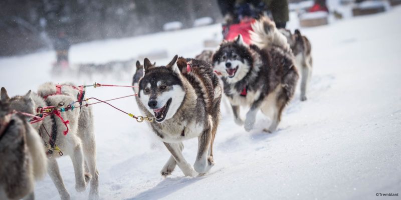 mont tremblant por que vender invierno