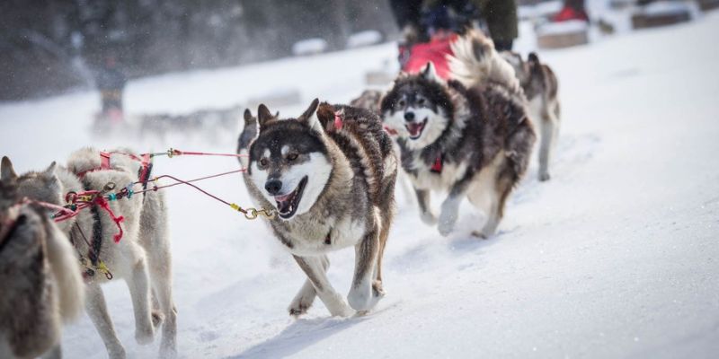 tremblant invierno itinerario