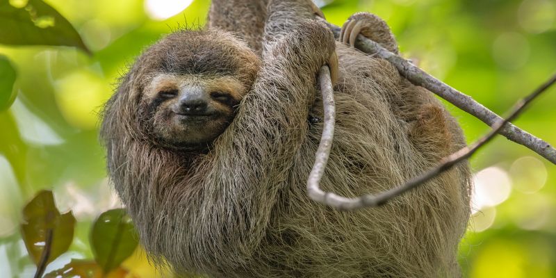 costa rica sostenibilidad