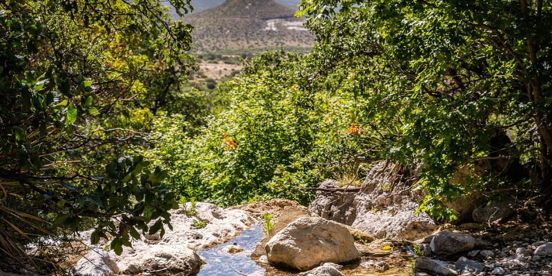 texas aventura aire libre