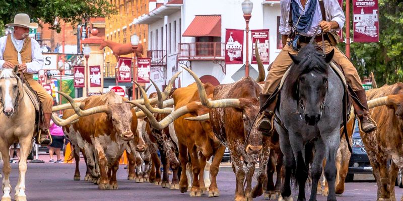 texas para familias