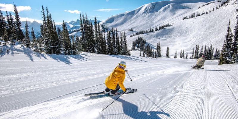 whistler en invierno