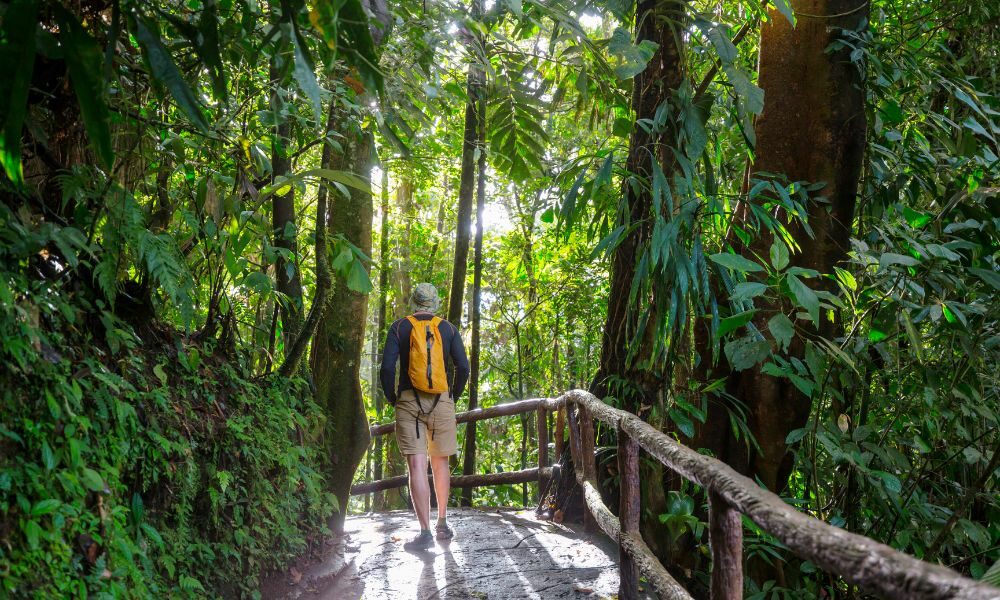 costa rica ecoturismo