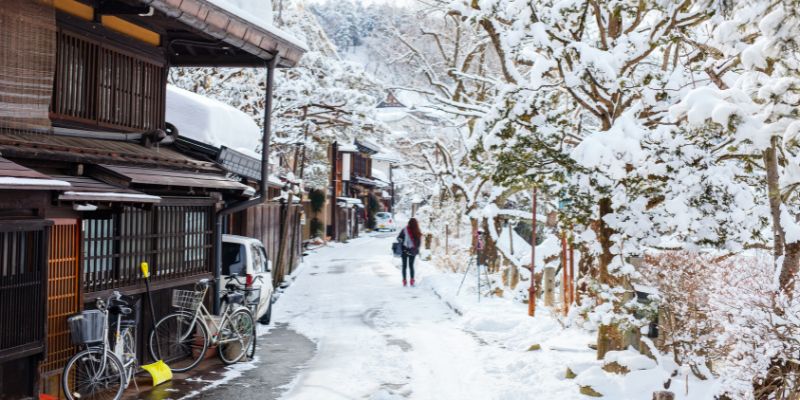 japon razones viajar