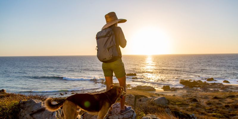 los cabos invierno