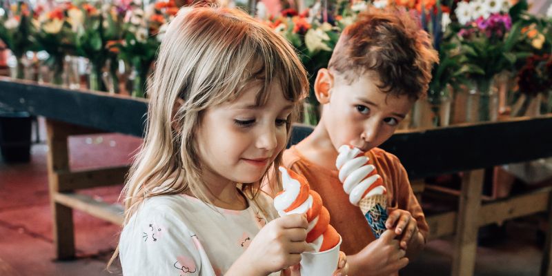 montreal para familias