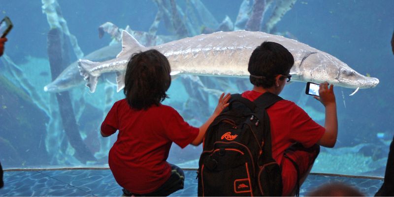 montreal para familias