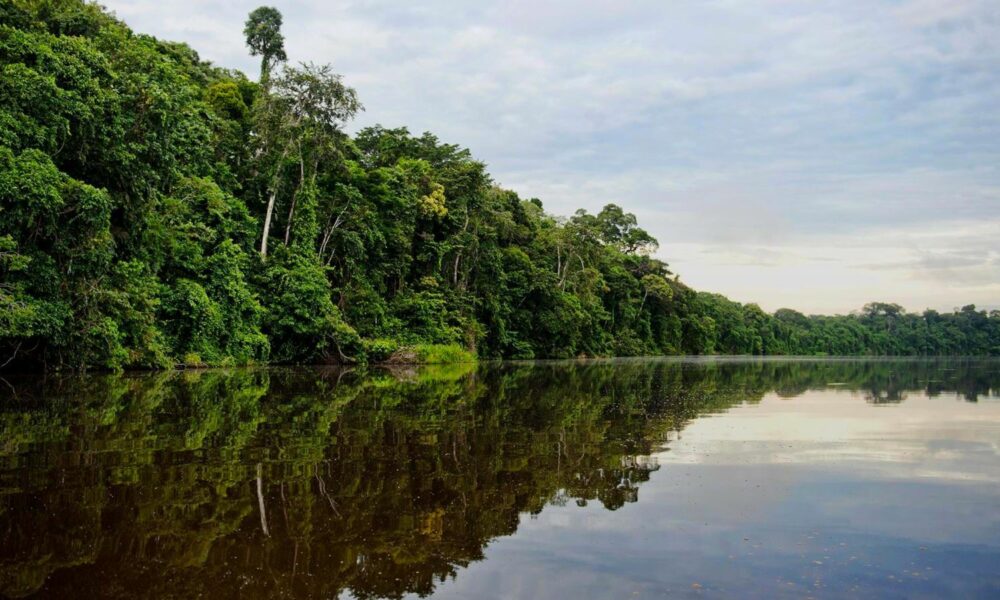 guia de que hacer en madre de dios peru
