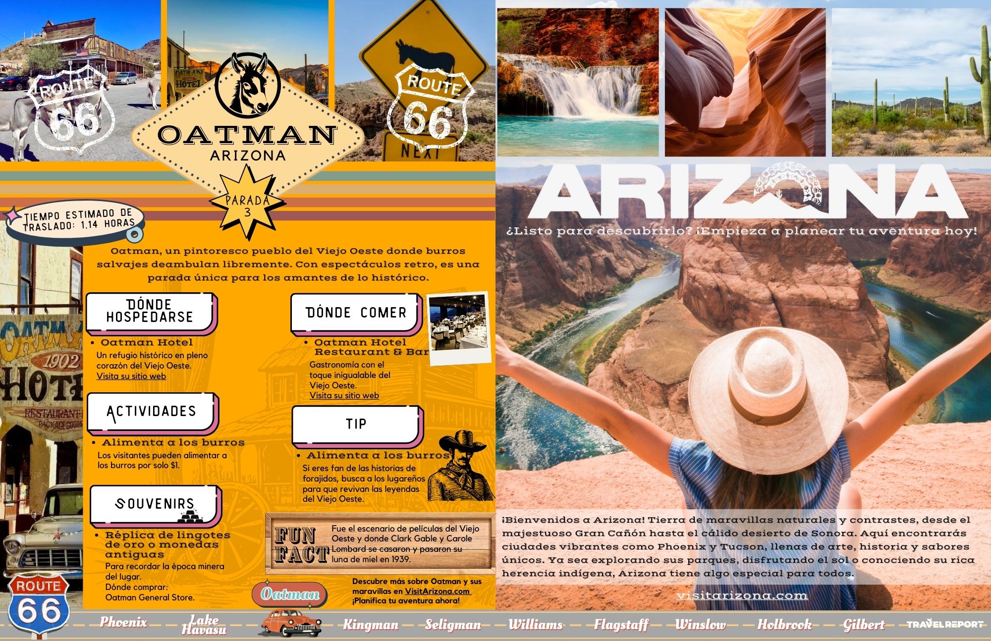 guia de que hacer en oatman arizona