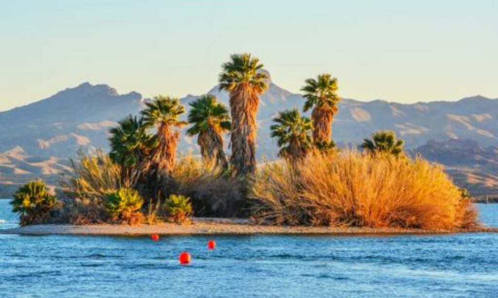 lake havasu state park en arizona