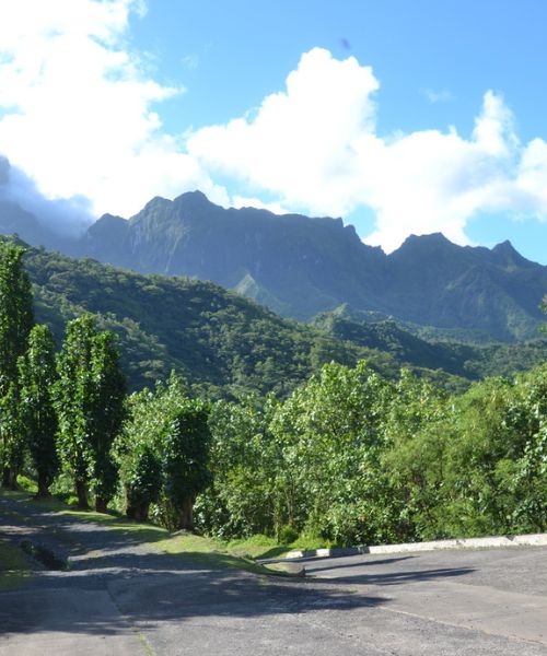 paisaje de montañas