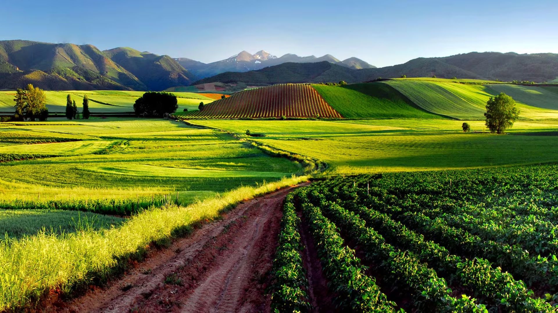 ruta del vino en la rioja - Travel Report