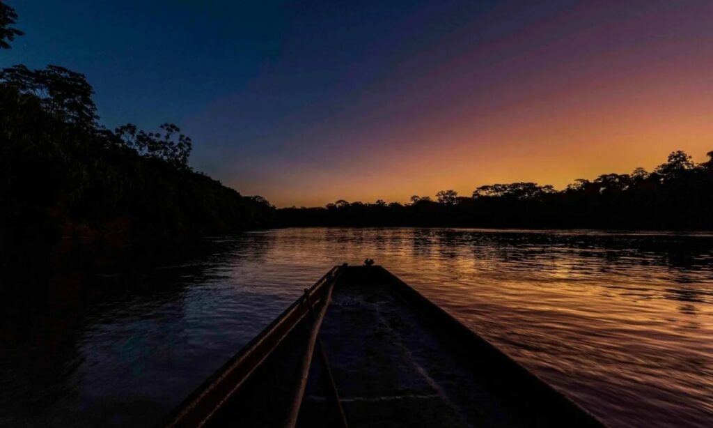 amazonas de noche