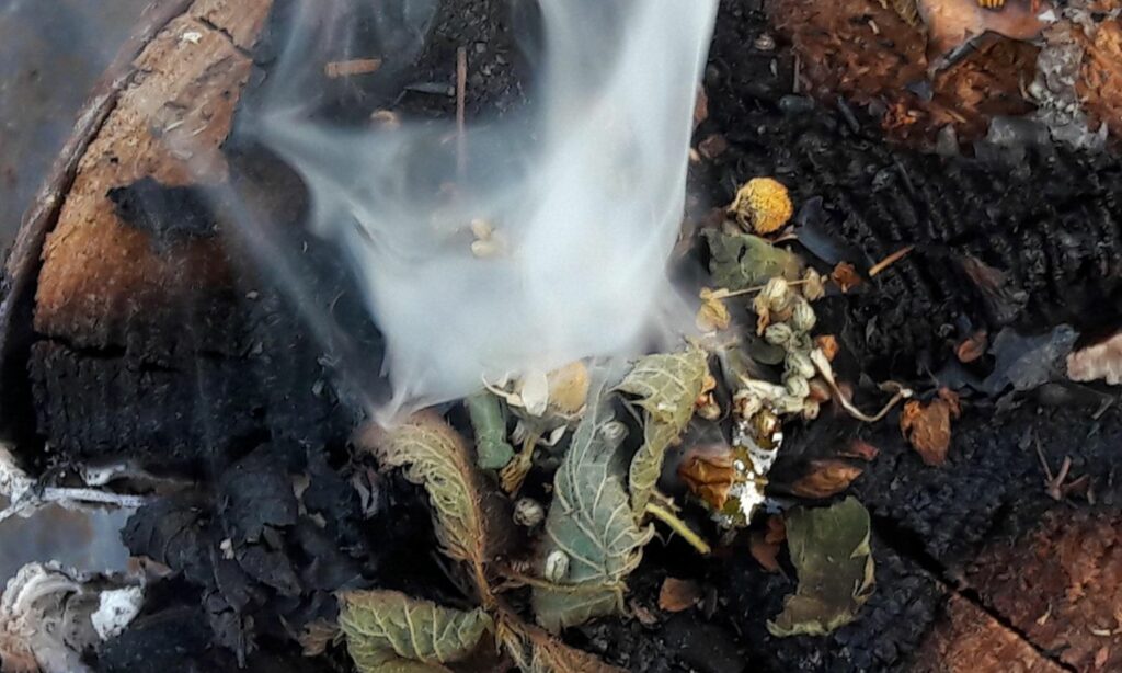 medicina flores en las Amazonas Peruanas