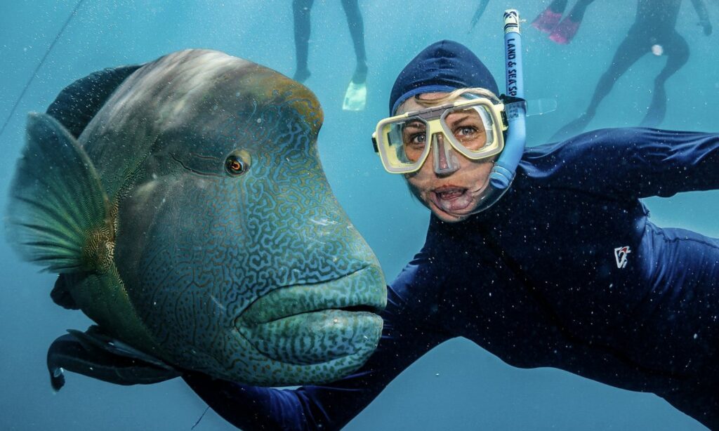 Gran Barrera de Coral – Australia