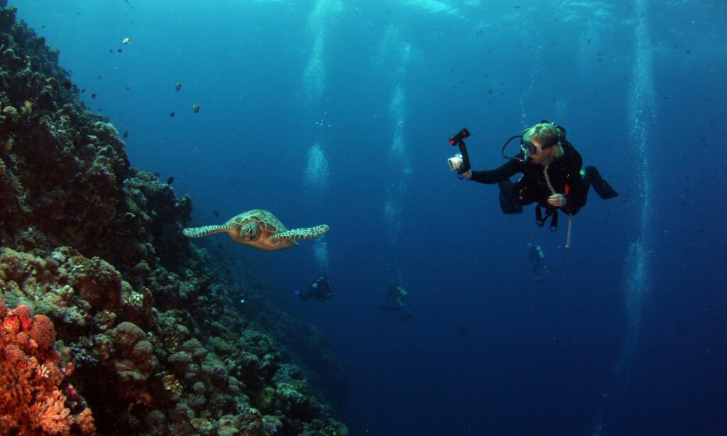 Isla del Coco – Costa Rica