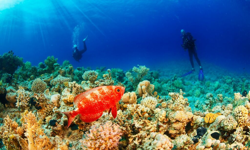 Raja Ampat – Indonesia