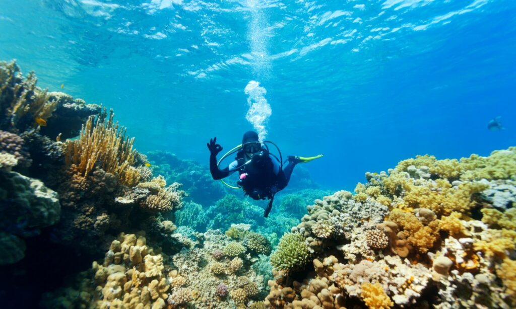 Ras Muhammad y SS Thistlegorm – Egipto