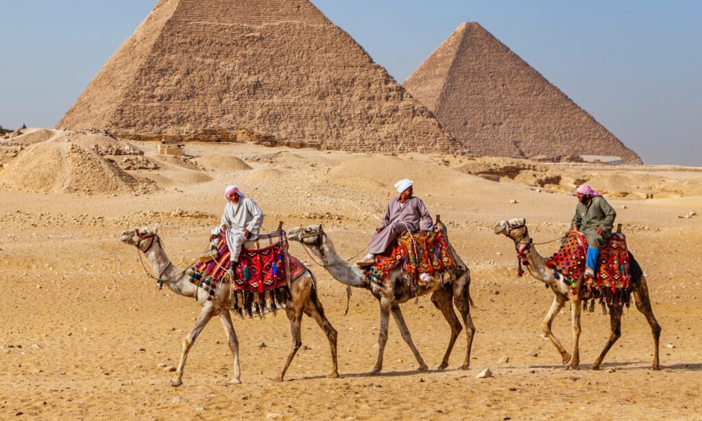 camello las Pirámides de Egipto