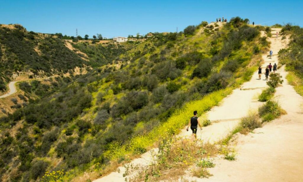 runyon canyon