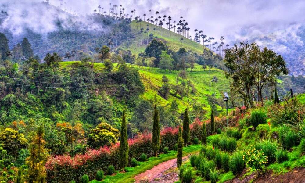 cafe-colombia-travel-report