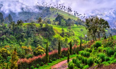 cafe-colombia-travel-report