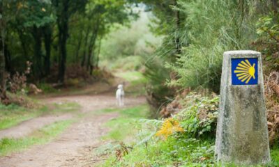 el-camino-de-santiago-mitos-y-realidades