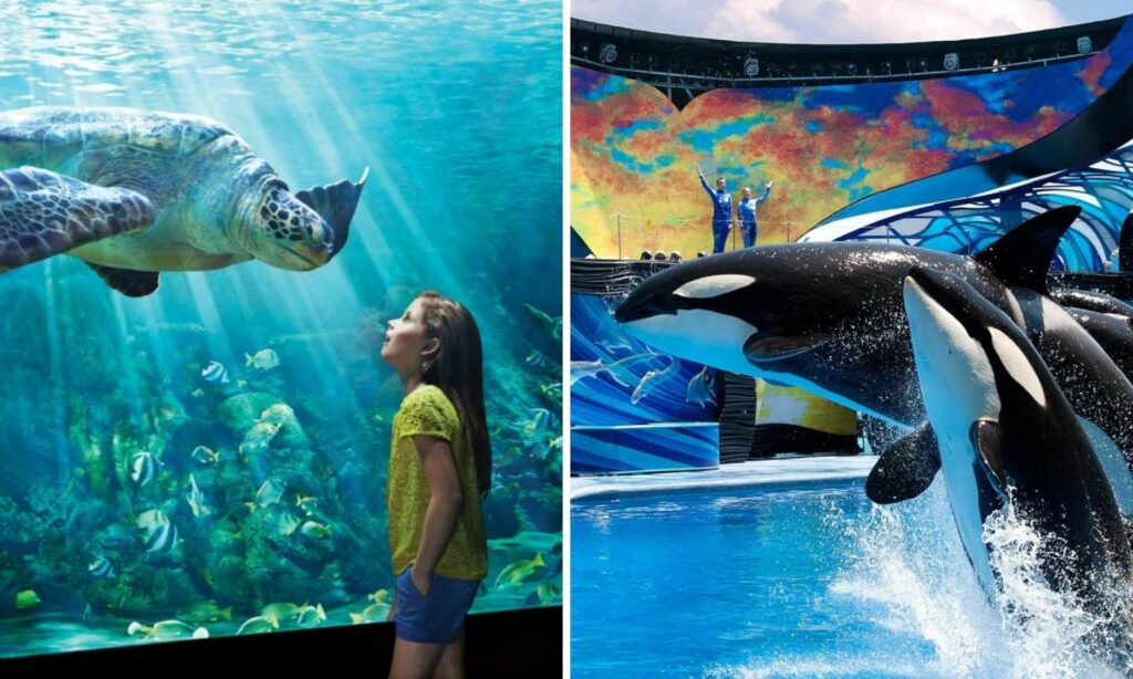 seaworld orlando