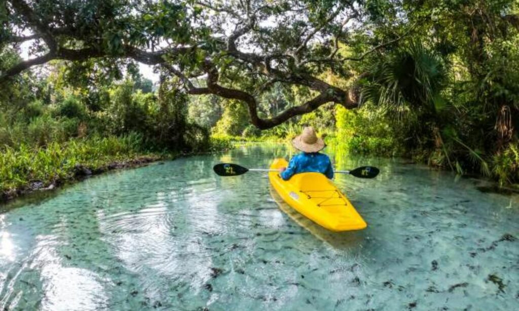 the best natural springs in y near orlando