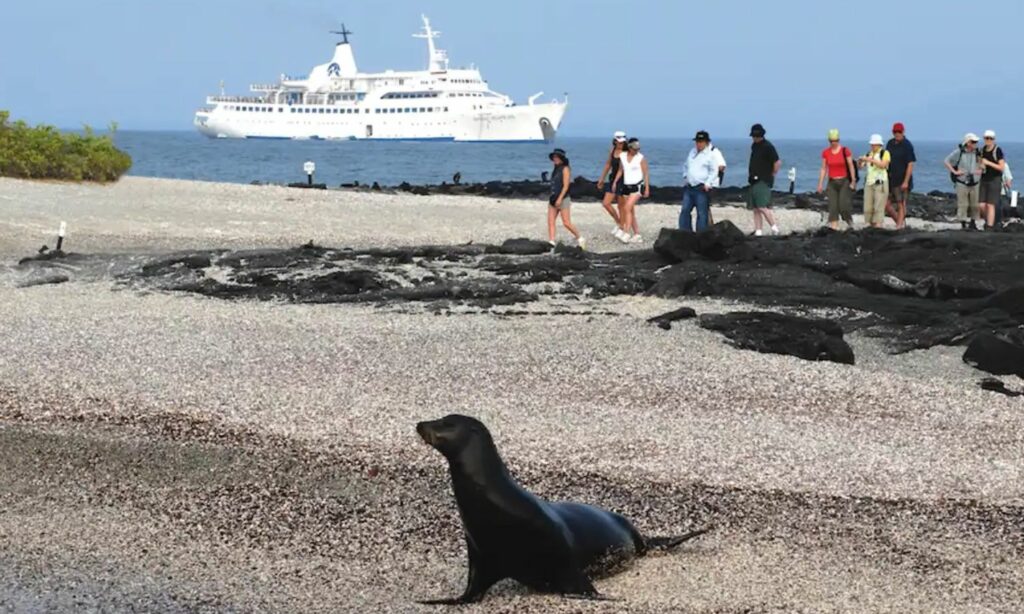 crucero isla galapagos