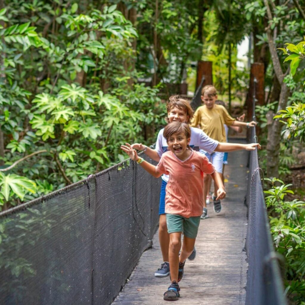 sandos caracol resort