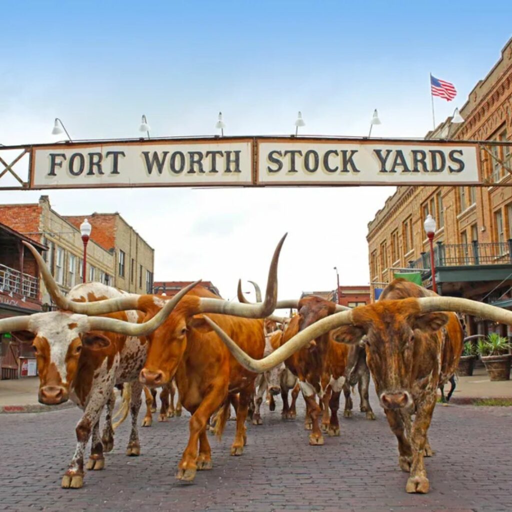 dallas-forth-worth