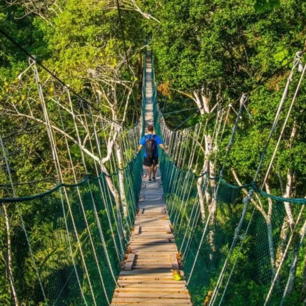 diarios-de-motocicleta-caminando