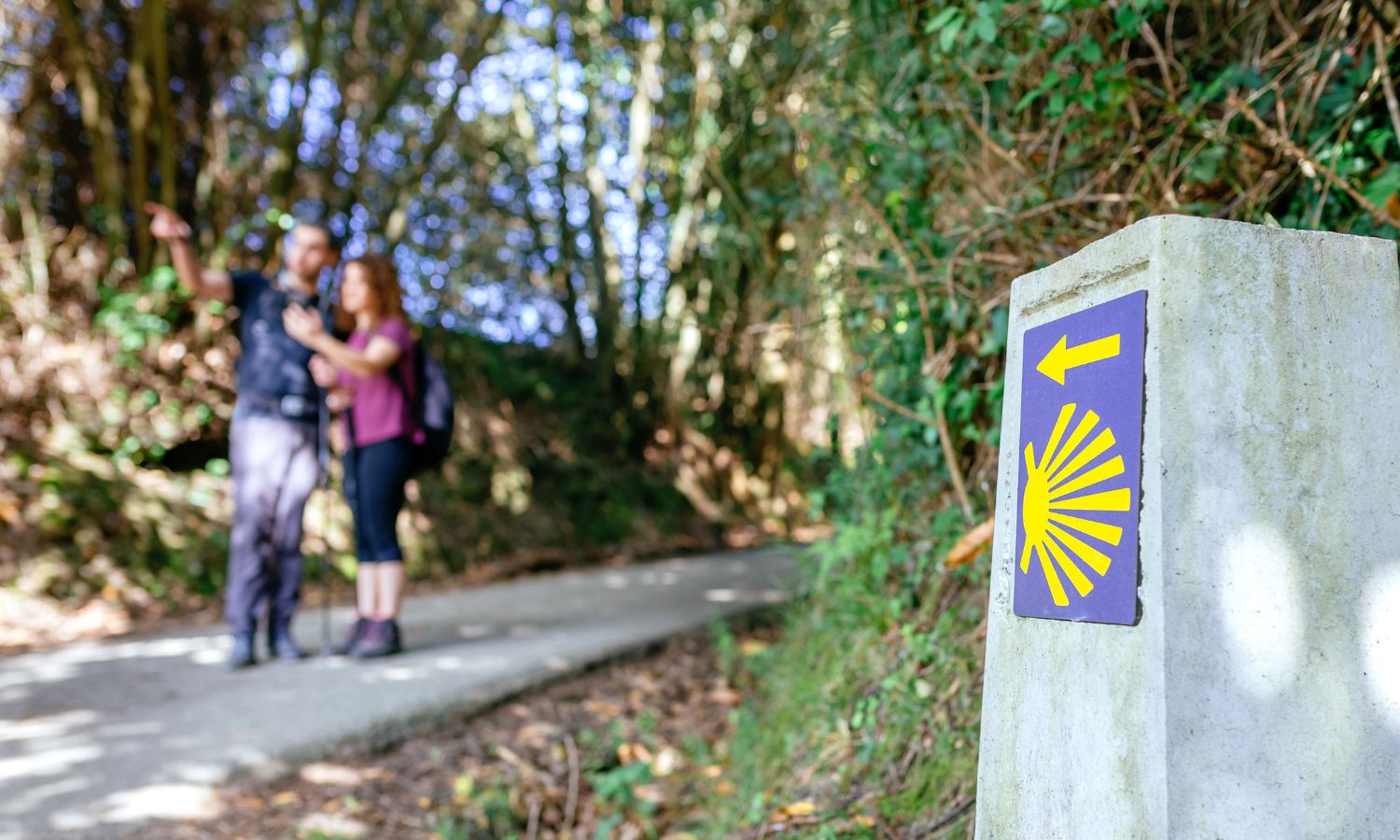 camino-de-santiago-2-portada