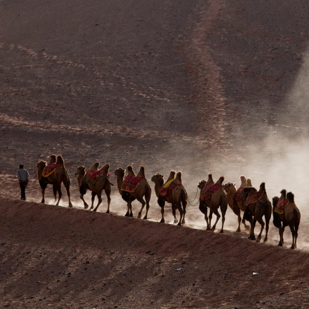 caucaso-ruta-de-seda