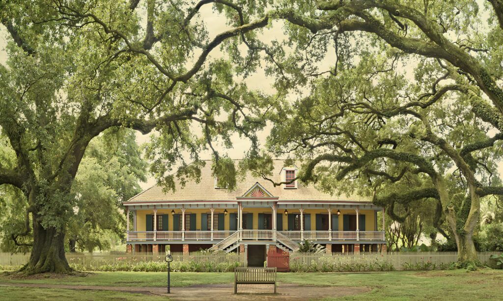 laura-plantation