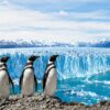 fin-del-mundo-patagonico-portada