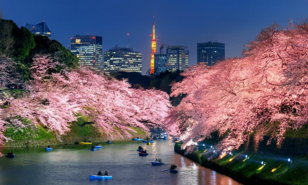 nuevo-turista-quiere-calles-limpias-japon