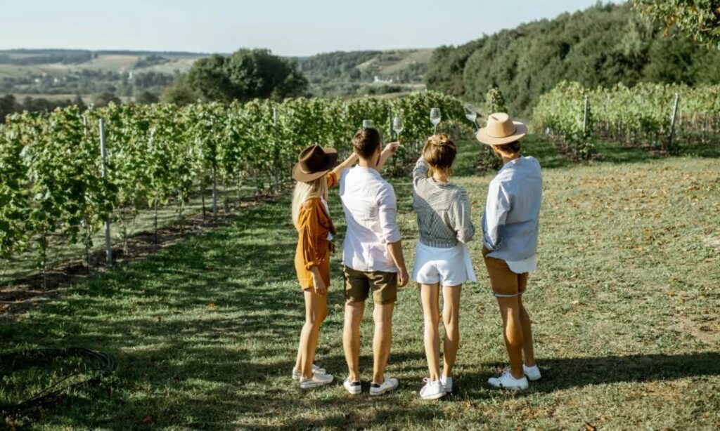 ruta-del-vino-para-distintos-perfiles-de-cliente
