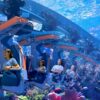 seaworld-san-antonio-portada