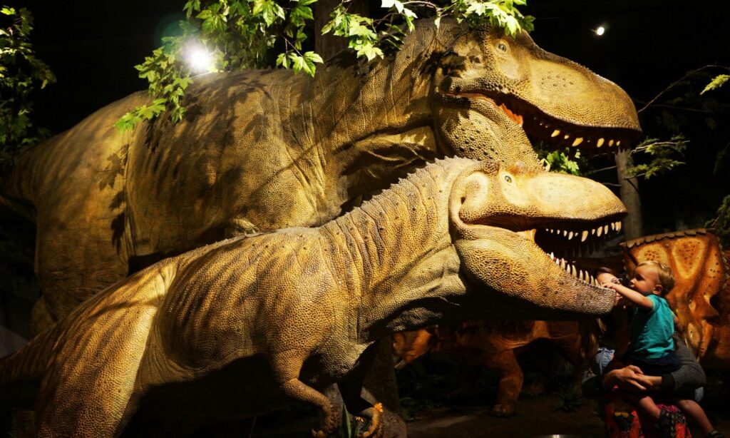 canadian-museum-of-nature-dinosaurios-minerales-aves