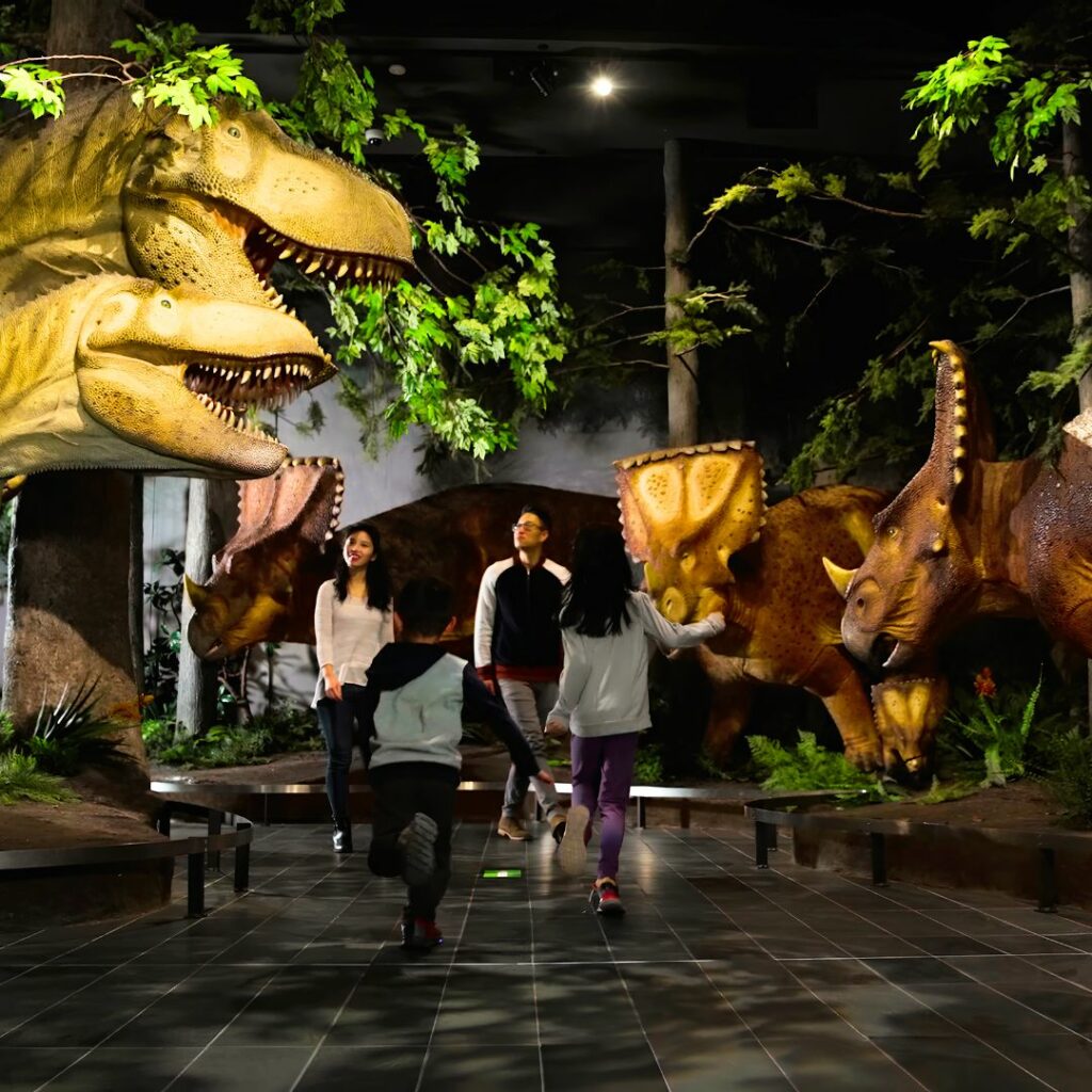 ottawa-destino-museo