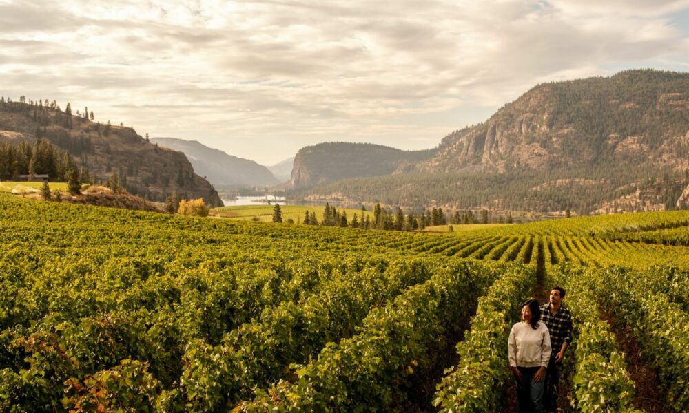british-columbia-valleys-vineyards-portada